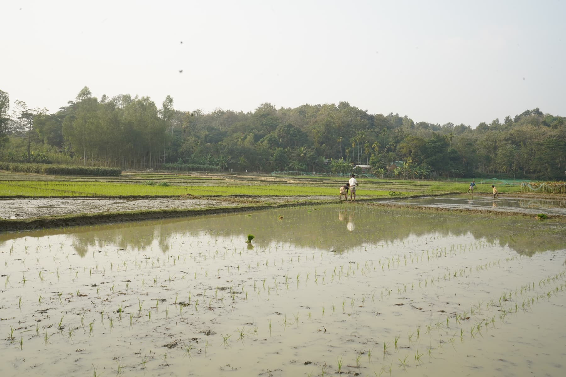 Master Plan Gallery Image 3