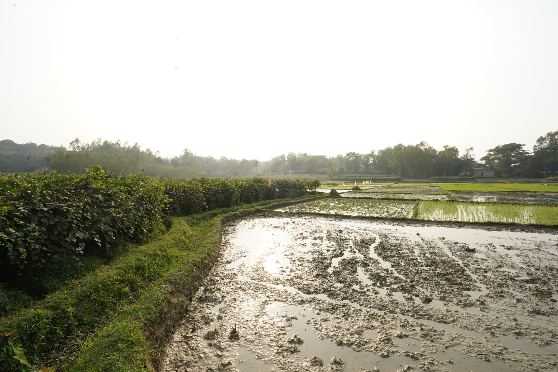 Master Plan Gallery Image 4