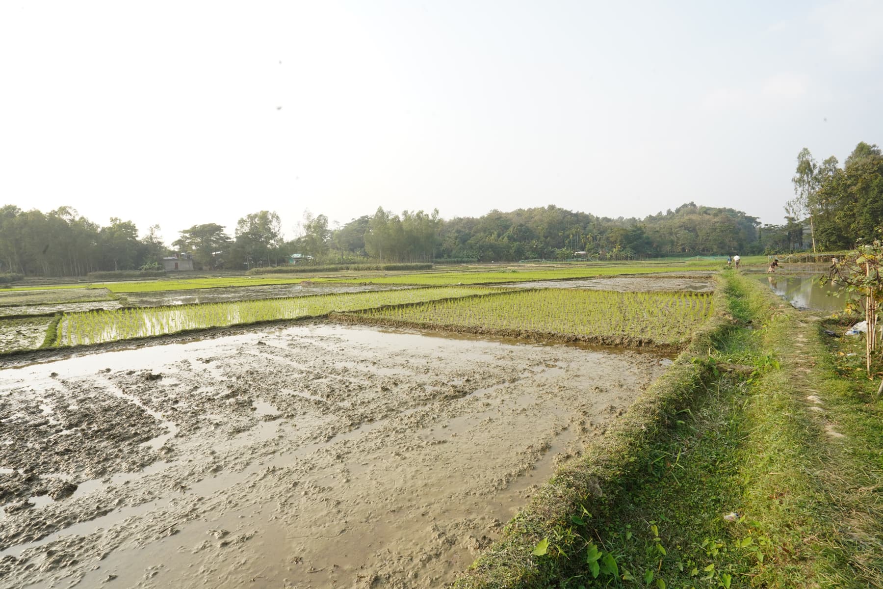 Master Plan Gallery Image 5