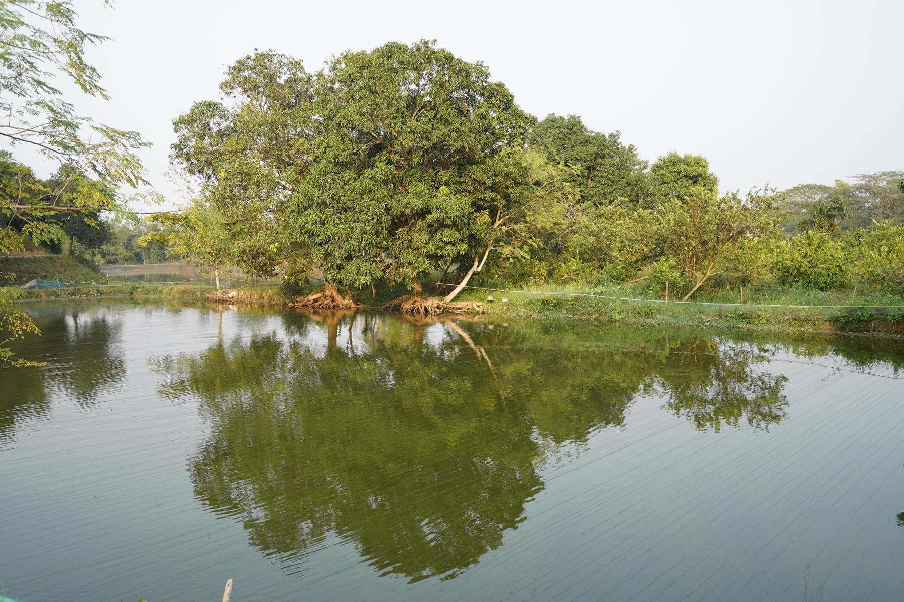 Master Plan Gallery Image 9