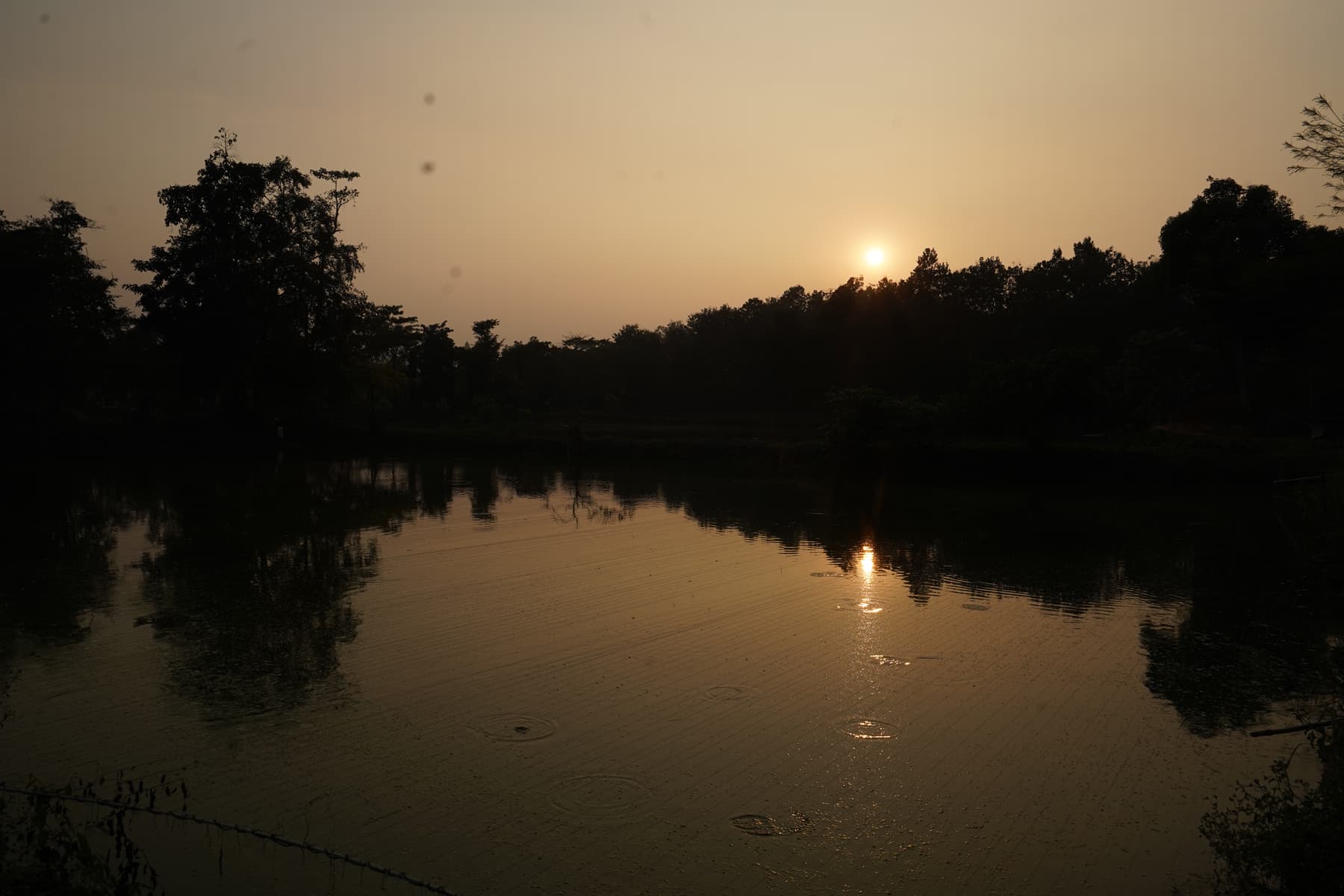 Master Plan Gallery Image 12