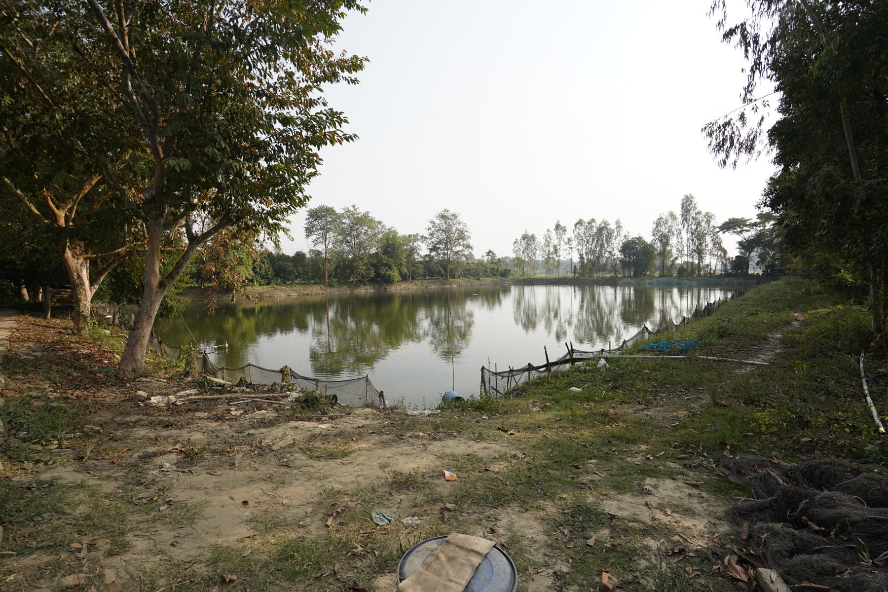 Fisheries & Aquaculture